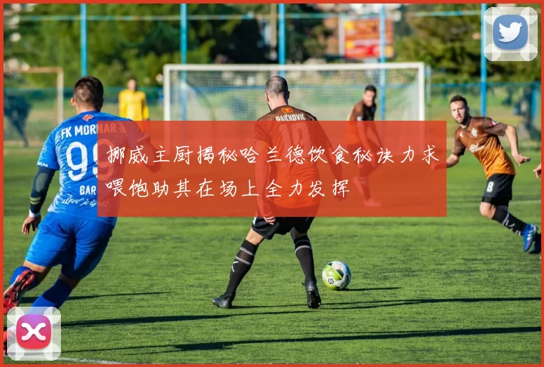 挪威主厨揭秘哈兰德饮食秘诀力求喂饱助其在场上全力发挥