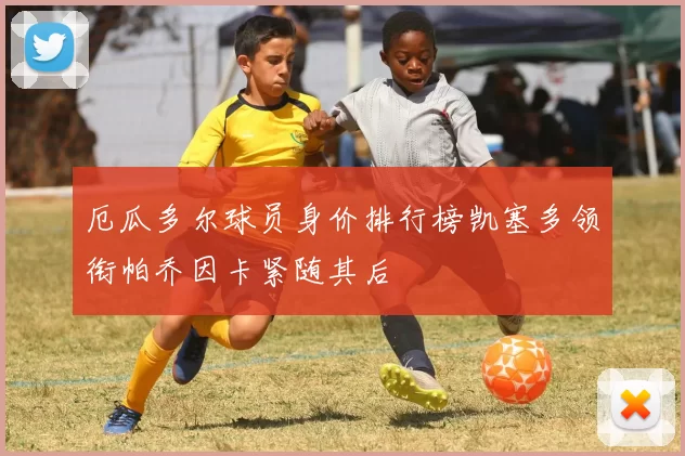 厄瓜多尔球员身价排行榜凯塞多领衔帕乔因卡紧随其后
